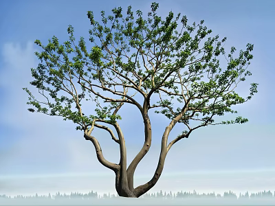 Tall Arbor with Thick Trunk Green Leaves and Branches in Blue Sky Landscape 3d model