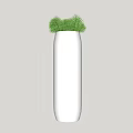 Bonsai Plant in White Tall Vase with Fresh Green Foliage for Indoor Decor