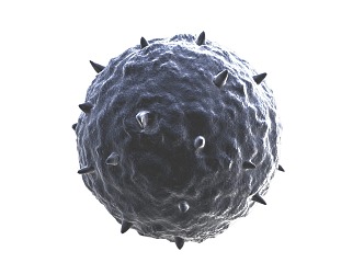 Modern virus 3d model