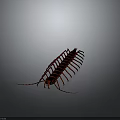 Red Centipede 3D Model With Segmented Body And Long Legs On Gray Background 3d model