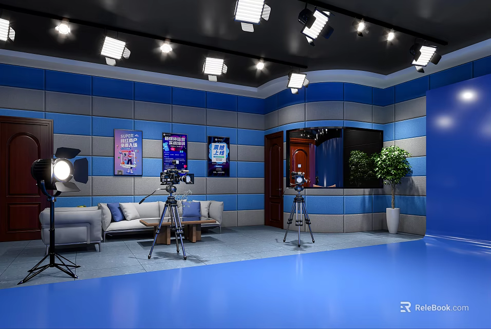 Professional Studio Set With Blue Walls Lighting Cameras Sofa And Plant 3d model 