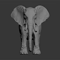 Realistic White Elephant 3D Model Rendered on Dark Reflective Surface