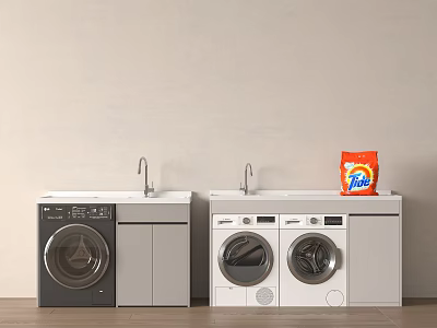 Modern Laundry Room With Gray And White Washing Machines Faucet And Orange Tide Detergent 3d model
