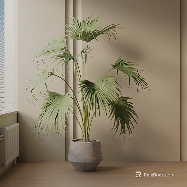 Indoor Green Palm Bonsai Potted Plant in Gray Pot Near Window 3d model 