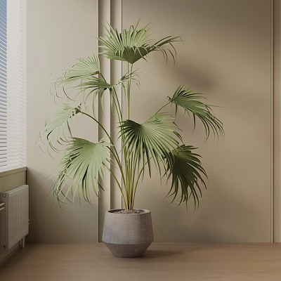 Indoor Green Palm Bonsai Potted Plant in Gray Pot Near Window 3d model