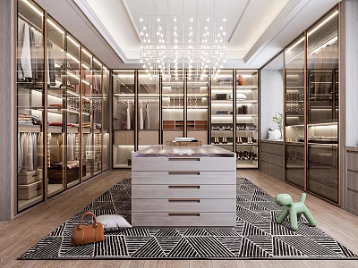 Modern Walk-in Closet With Glass Door Storage Cabinets Central Drawer Unit Hanging Chandelier And Patterned Rug 3d model