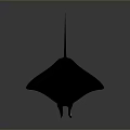Black Manta Ray Aquatic Animal Swimming In Deep Ocean With Streamlined Body