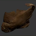 Brown Flat Ray With Long Tail Displayed As Specimen On Dark Surface