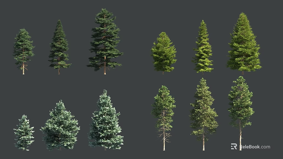 Various Evergreen Arbor Trees With Different Crown Shapes For Garden Landscaping 3d model 