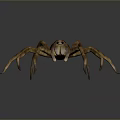 Realistic 3D Spider Model With Brown Yellow Stripes And Multiple Legs On Gray Background 3d model