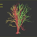 Bare Leafless Tree With Visible Trunk And Branches On Gray Background