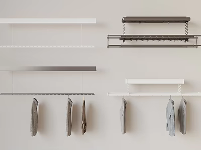 Wall Mounted Clothing Racks In Different Designs With Hanging Clothes 3d model