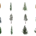 The Modern Tree 3d model