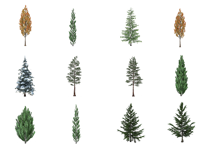 The Modern Tree 3d model