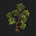 Lush Tree With Green Leaves Brown Trunk And Multiple Branches Against Black Background