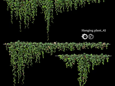 Hanging Vines With Lush Green Leaves For Decorative Indoor Home Decoration 3d model