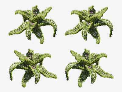 Modern Shrub Plants 3d model Modern Shrub Plants 3d model