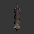 Curious Gray Puppy Standing On Black Reflective Surface With Alert Expression 3d model