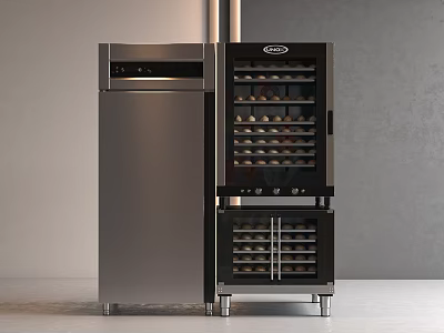 Modern Stainless Steel Wine Cooler and Refrigerator as Kitchen Appliances in Home 3d model