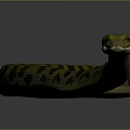 Yellow and Black Patterned Snake Slithering on Gray Background with Curved Body