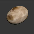 Oval Shaped Wood And Stone Decorative Piece In Beige With Brown Spots