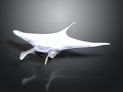 Elegant White Manta Ray Gliding Smoothly On Dark Background With Reflection 3d model