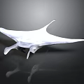 Elegant White Manta Ray Gliding Smoothly On Dark Background With Reflection