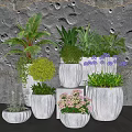 Bonsai Potted Plants Featuring Different Shapes Sizes Pots on Textured Gray Wall with Lighting