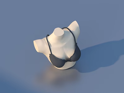 Underwear Bra Model 3d model