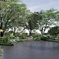Residential Landscape Featuring Shaded Walkway Well-trimmed Green Shrubs Lush Trees and Gray Tile Pathway