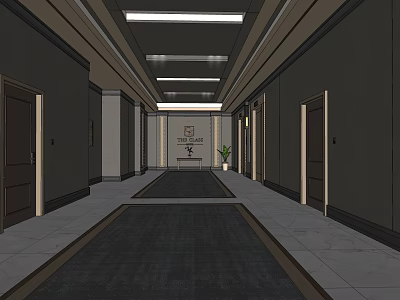 Hotel Corridor With Doors On Both Sides Dark Carpet Ceiling Lights And Potted Plant 3d model