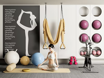 Modern Sports Equipment Setup With Yoga Hammock Fitness Balls Dumbbells And Exercise Bike 3d model