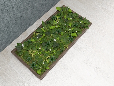 Green plants wall flowers 3d model