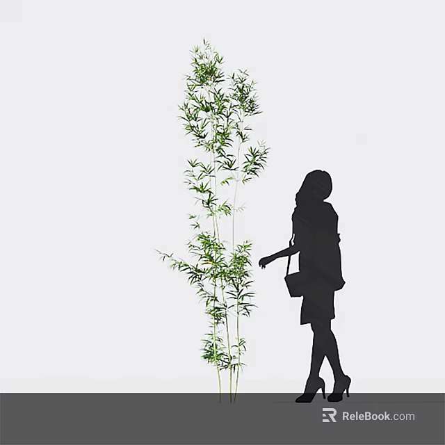Silhouette of a Woman Next to a Tall Bamboo Plant 3d model 