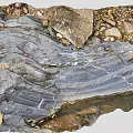 Natural Wood And Stone Landscape With Layered Rock Texture And Stream Pebbles