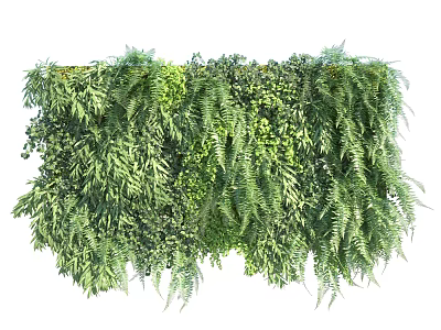 Lush Living Plant Wall With Various Leaf Types For Indoor Decorative Vertical Garden 3d model