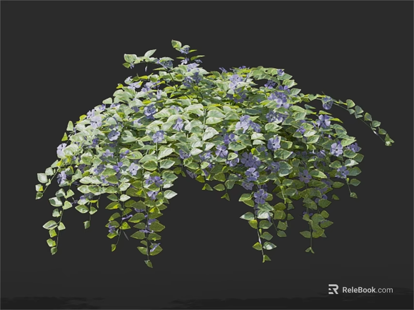 Lush Hanging Flower Plant With Green Leaves Purple Blooms And Trailing Vines 3d model 