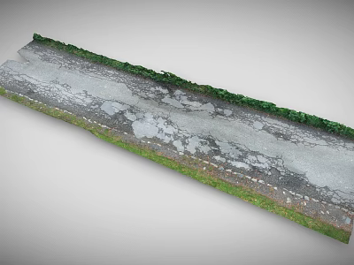 Cracked Gray Asphalt Road Surface With Green Vegetation On Edges 3d model