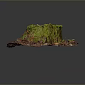 Arbor Stump Covered With Green Moss And Surrounded By Fallen Leaves Twigs On Dark Background