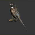 Taxidermy Pheasant Mounted on Wall with Circular Base Against Grey Background and Vibrant Feathers