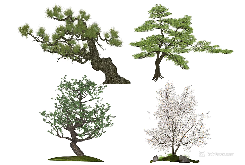 Different Varieties Of Trees With Twisted Trunks Green Foliage And White Blossoms In Garden 3d model 