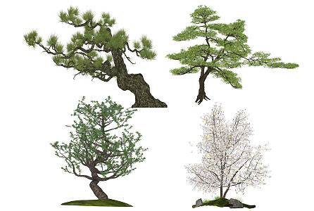 Modern Tree Modeling Pine Landscape Trees Shrub Color Leaf Tree Plants Black Pine Flower Shrub Modeling Tree Ornamental Tree 3d model