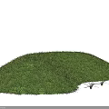 Natural Green Microtopography Landscape With Small Mound Covered In Lush Grass