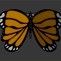 Butterfly Shaped Commercial Decorative LED Light With Orange Black White Wings For Retail Store