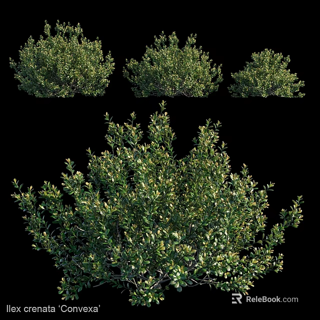 Decorative Ornament Set Featuring Green Shrubs In Various Natural Shapes 3d model 