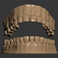 Golden 3D Rendered Dental Jaw Model Featuring Detailed Teeth And Jawbone Structure