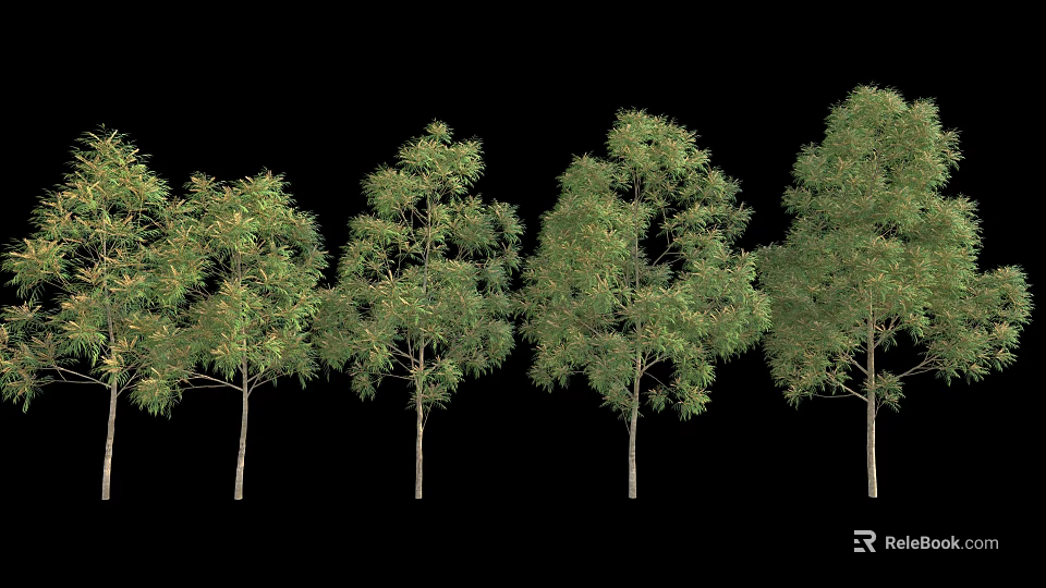 Five Green Leafy Arbor Trees With Various Canopy Shapes On Black Background 3d model