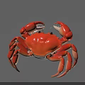 Aquatic Animal Orange Crab With Vibrant Color And Detailed Claws Close Up