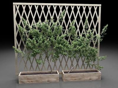 Stylish Green Leafy Plants In Wooden Planters With Decorative Lattice Background 3d model