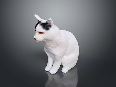 cat domestic cat pet animal fur black white land animal wild animal large animal mammal mammal 3d model